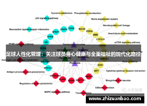 足球人性化管理：关注球员身心健康与全面福祉的现代化路径