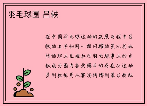 羽毛球圈 吕轶